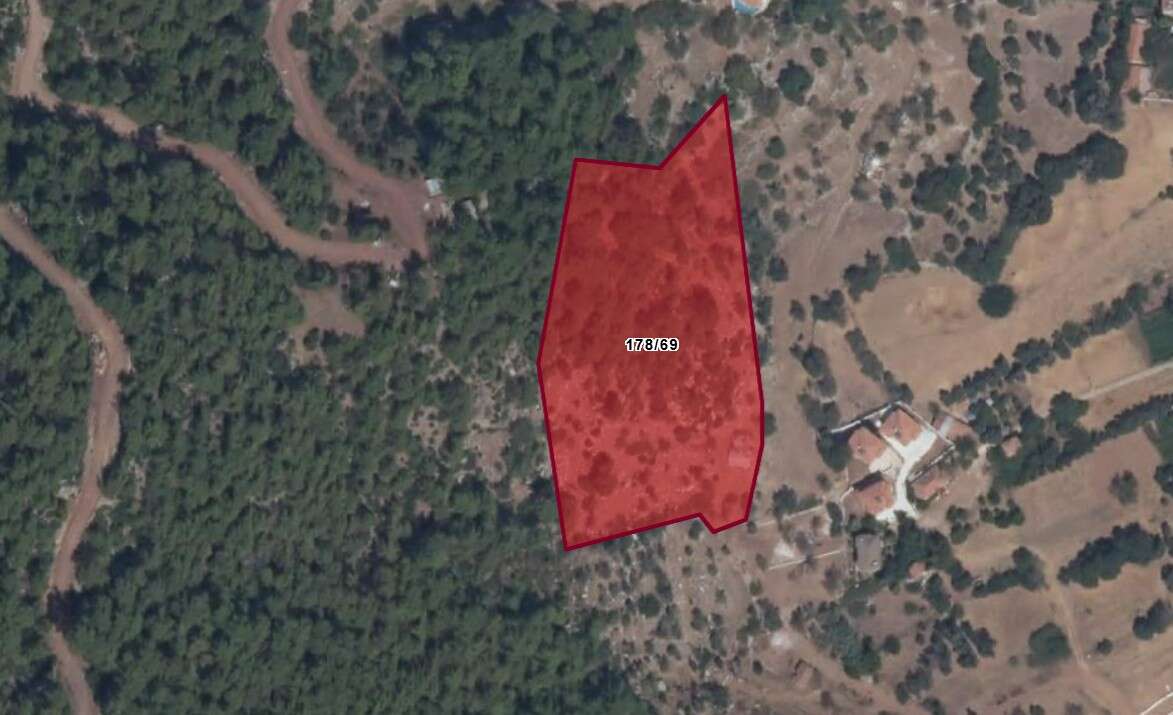 Marmaris’te 65 Milyon TL Değerinde Zeytinlik Satışa Çıkarıldı 1